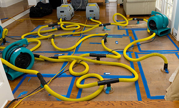 Professional Water Damage Restoration technician working in Higbee, MO