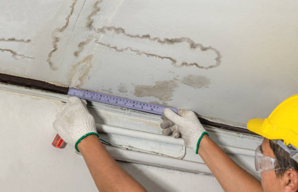 Affordable Water Damage Repair solutions in Higbee, MO